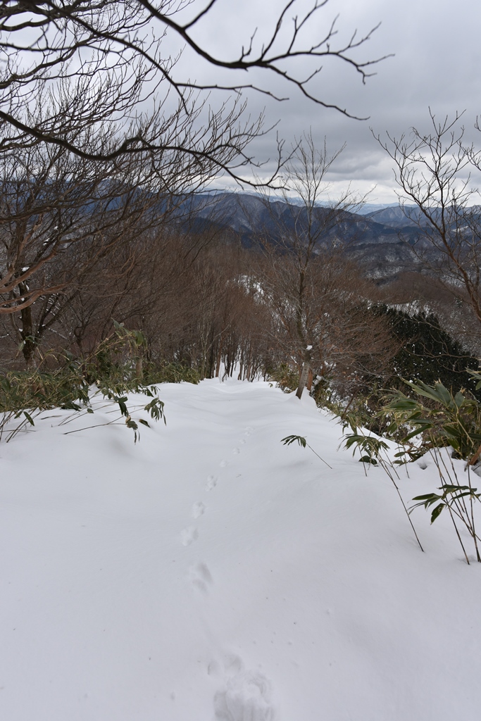 f:id:ikazuti-d:20180202113700j:image