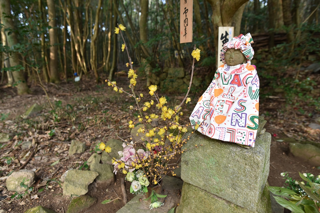 f:id:ikazuti-d:20180226082126j:image