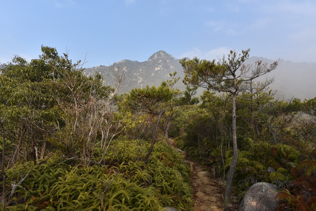 f:id:ikazuti-d:20180226083506j:image