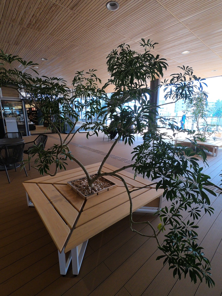 f:id:ikazuti-d:20180329100759j:image f:id:ikazuti-d:20180329100759j:image