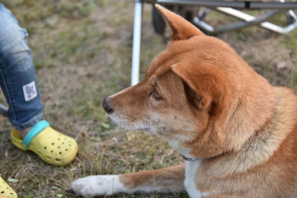 f:id:ikazuti-d:20180503184619j:image f:id:ikazuti-d:20180503184619j:image