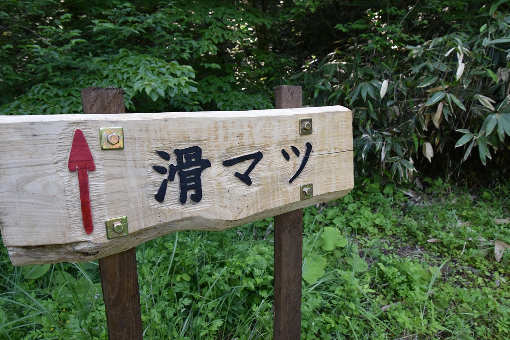 f:id:ikazuti-d:20180601091549j:image