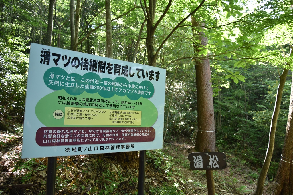 f:id:ikazuti-d:20180601092118j:image