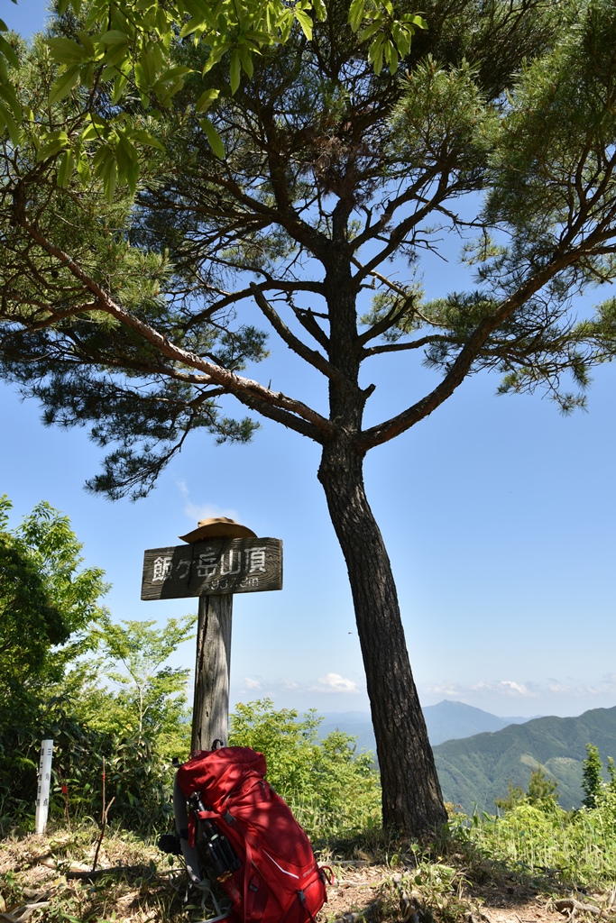 f:id:ikazuti-d:20180601102908j:image