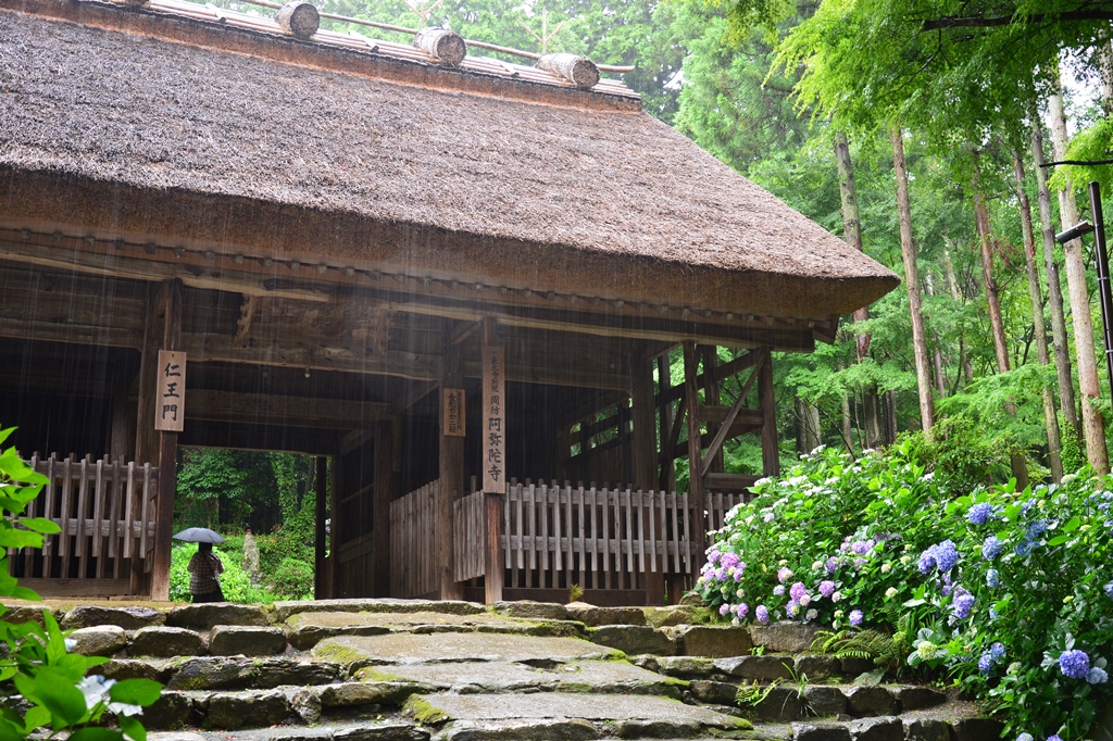 f:id:ikazuti-d:20180611094854j:image