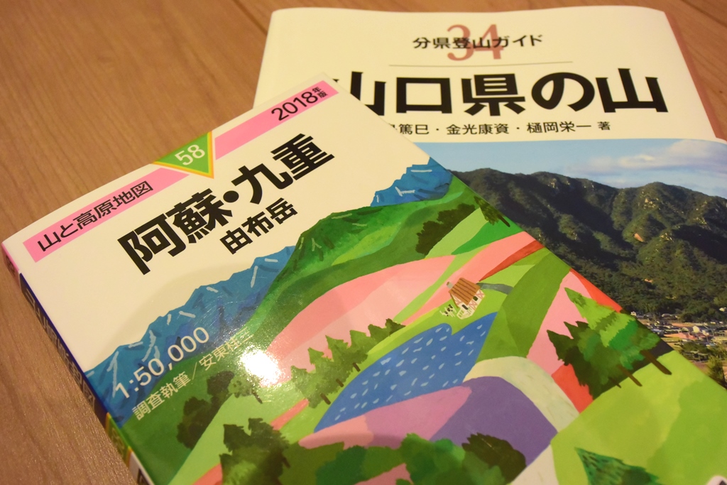 f:id:ikazuti-d:20180624000352j:image