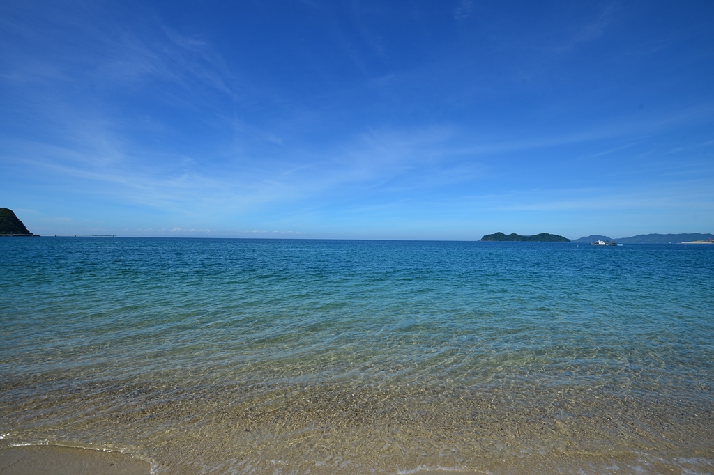 f:id:ikazuti-d:20180814101059j:plain f:id:ikazuti-d:20180814101059j:plain