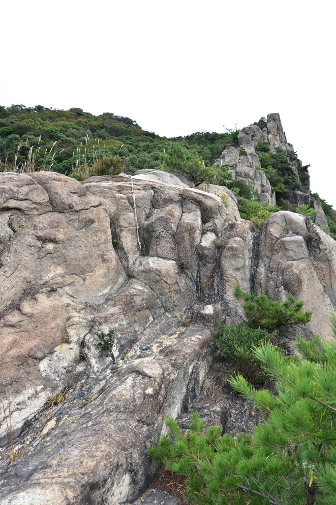 f:id:ikazuti-d:20181022100055j:plain