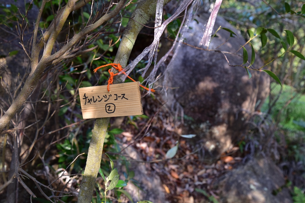 f:id:ikazuti-d:20181219095954j:plain