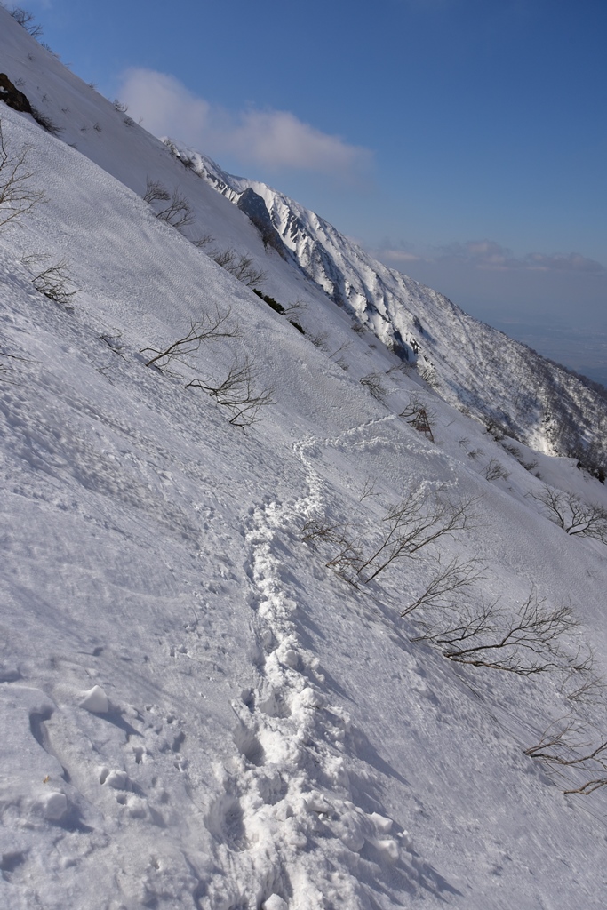 f:id:ikazuti-d:20190226124953j:plain