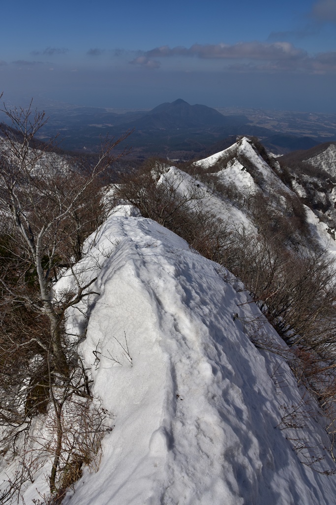 f:id:ikazuti-d:20190226130620j:plain
