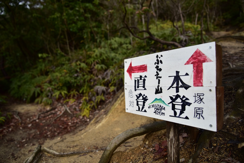 f:id:ikazuti-d:20190304091618j:plain