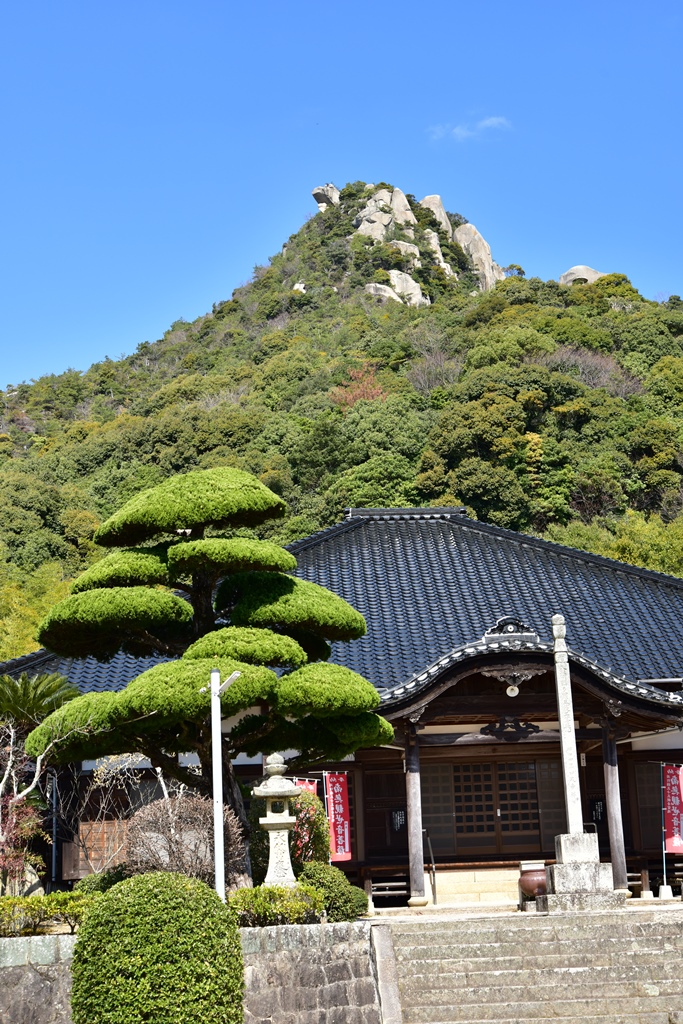 f:id:ikazuti-d:20190308114025j:plain f:id:ikazuti-d:20190308114025j:plain