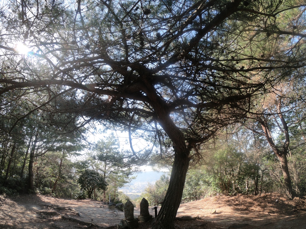 f:id:ikazuti-d:20190309101009j:plain