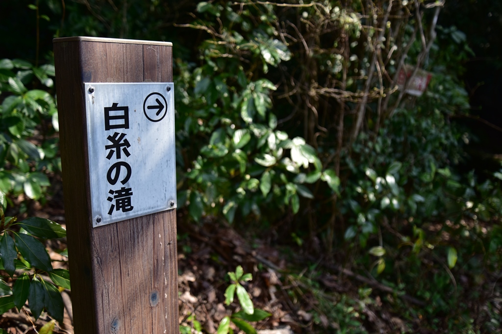 f:id:ikazuti-d:20190327100113j:plain f:id:ikazuti-d:20190327100113j:plain