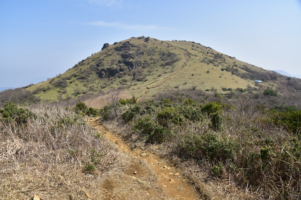 f:id:ikazuti-d:20190327112313j:plain f:id:ikazuti-d:20190327112313j:plain