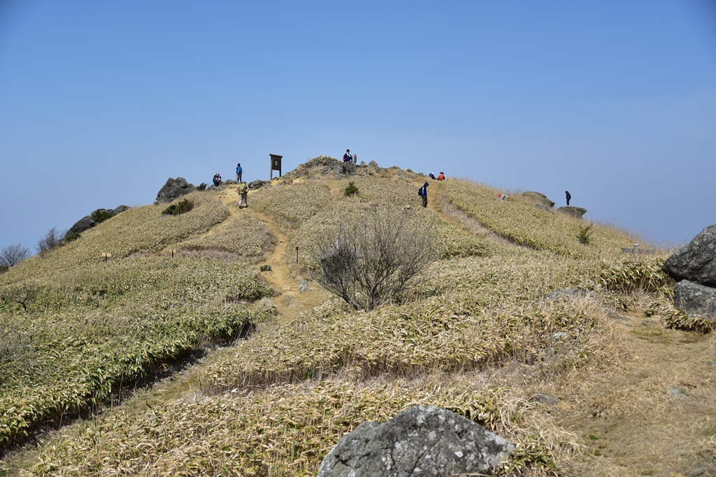 f:id:ikazuti-d:20190327120914j:plain f:id:ikazuti-d:20190327120914j:plain