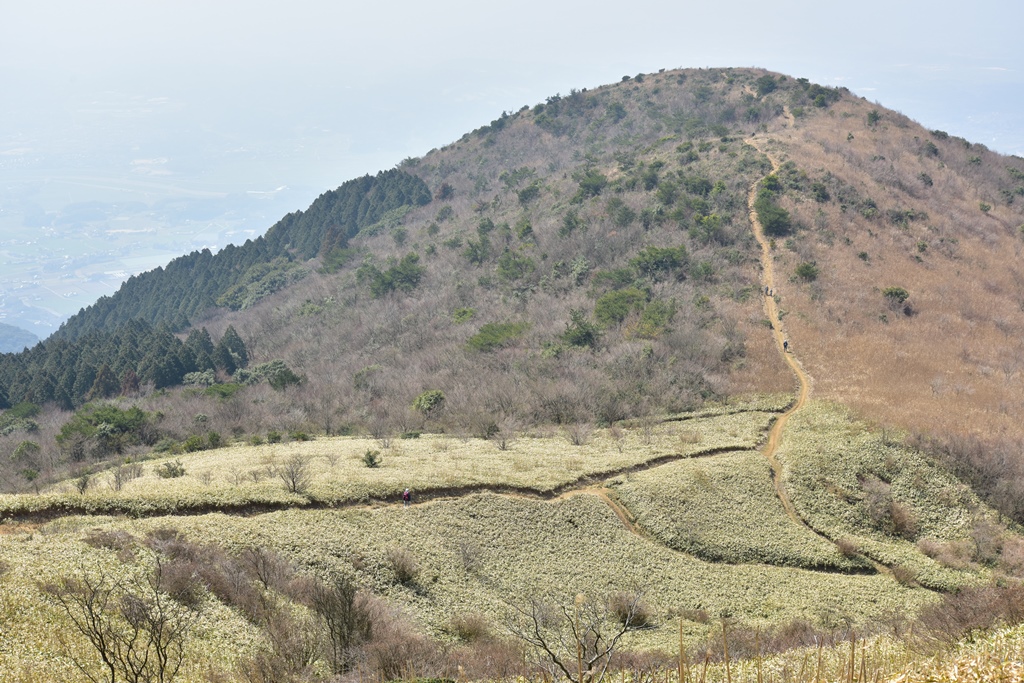 f:id:ikazuti-d:20190327121819j:plain f:id:ikazuti-d:20190327121819j:plain