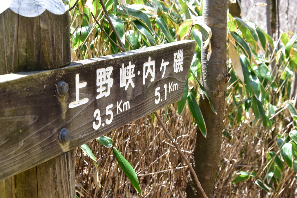 f:id:ikazuti-d:20190327123824j:plain f:id:ikazuti-d:20190327123824j:plain