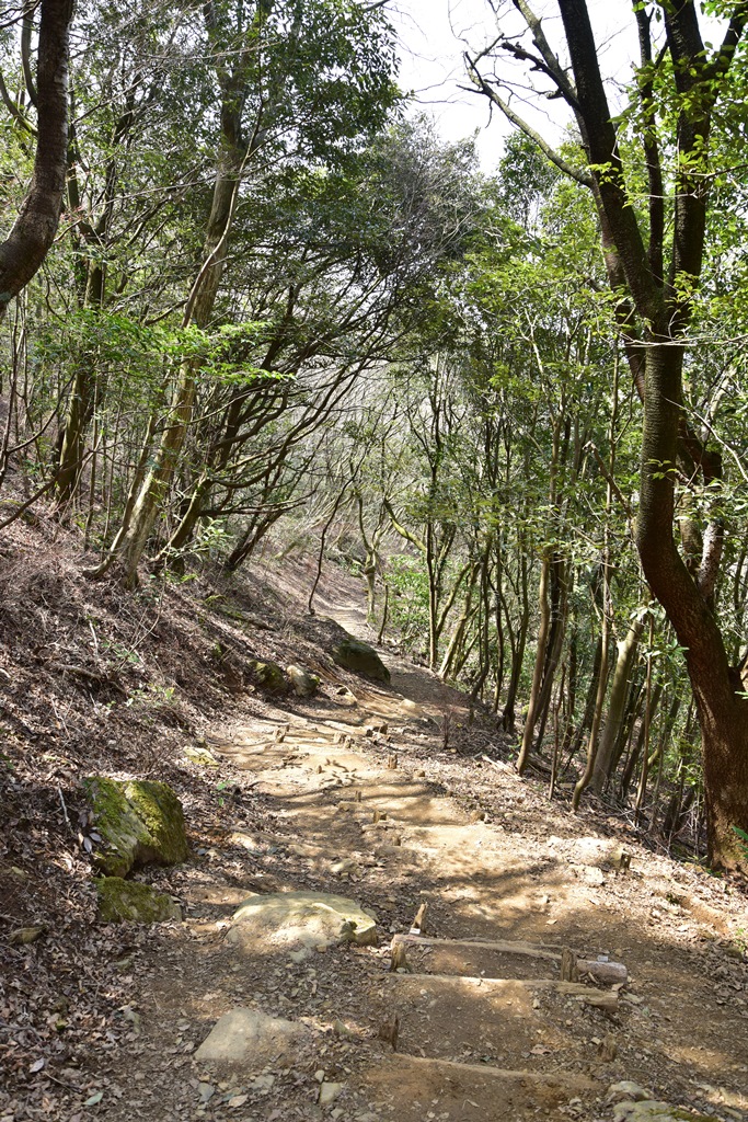 f:id:ikazuti-d:20190327124616j:plain f:id:ikazuti-d:20190327124616j:plain