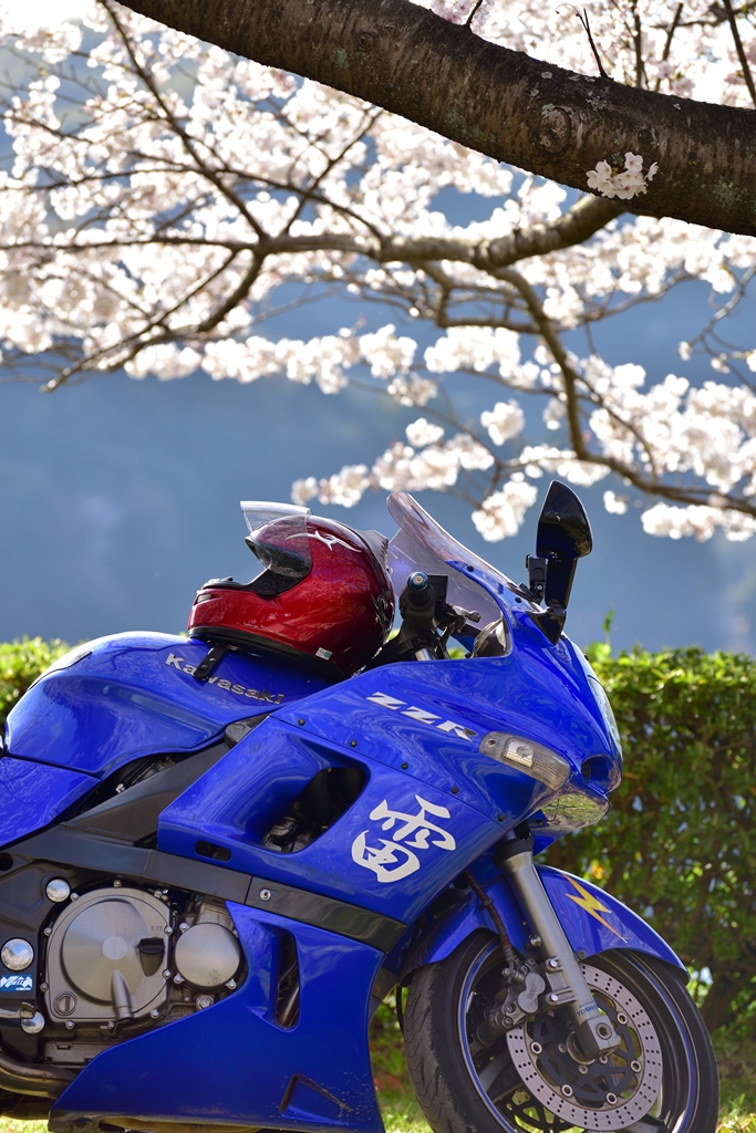 f:id:ikazuti-d:20190404162644j:plain