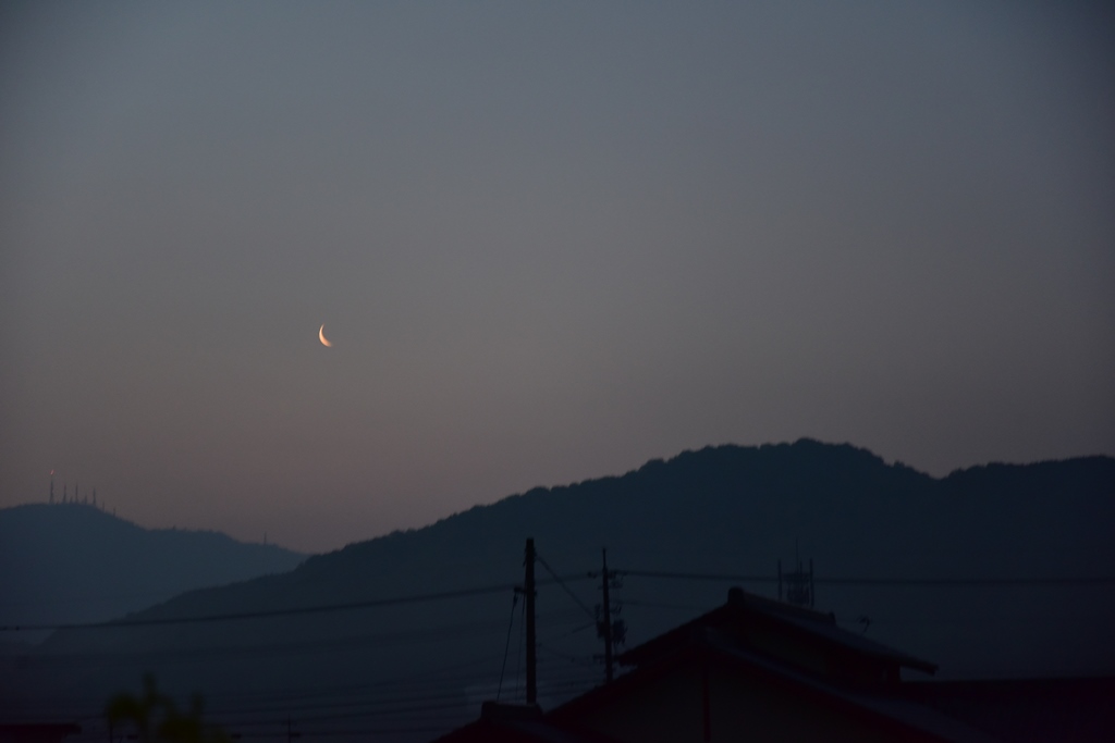f:id:ikazuti-d:20190502051351j:plain f:id:ikazuti-d:20190502051351j:plain