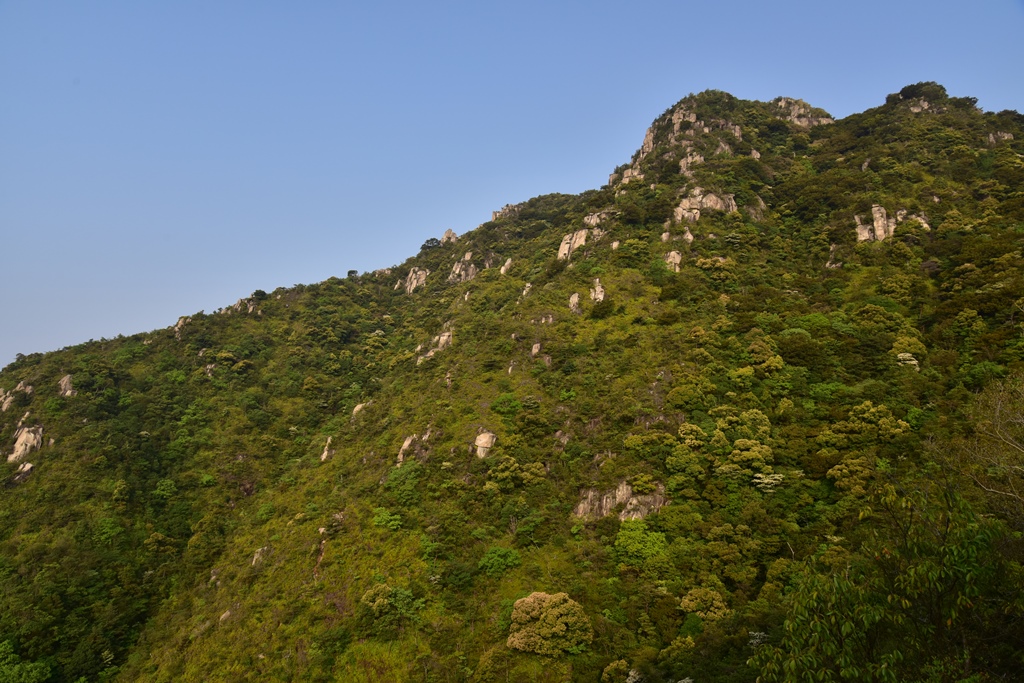f:id:ikazuti-d:20190502071724j:plain f:id:ikazuti-d:20190502071724j:plain