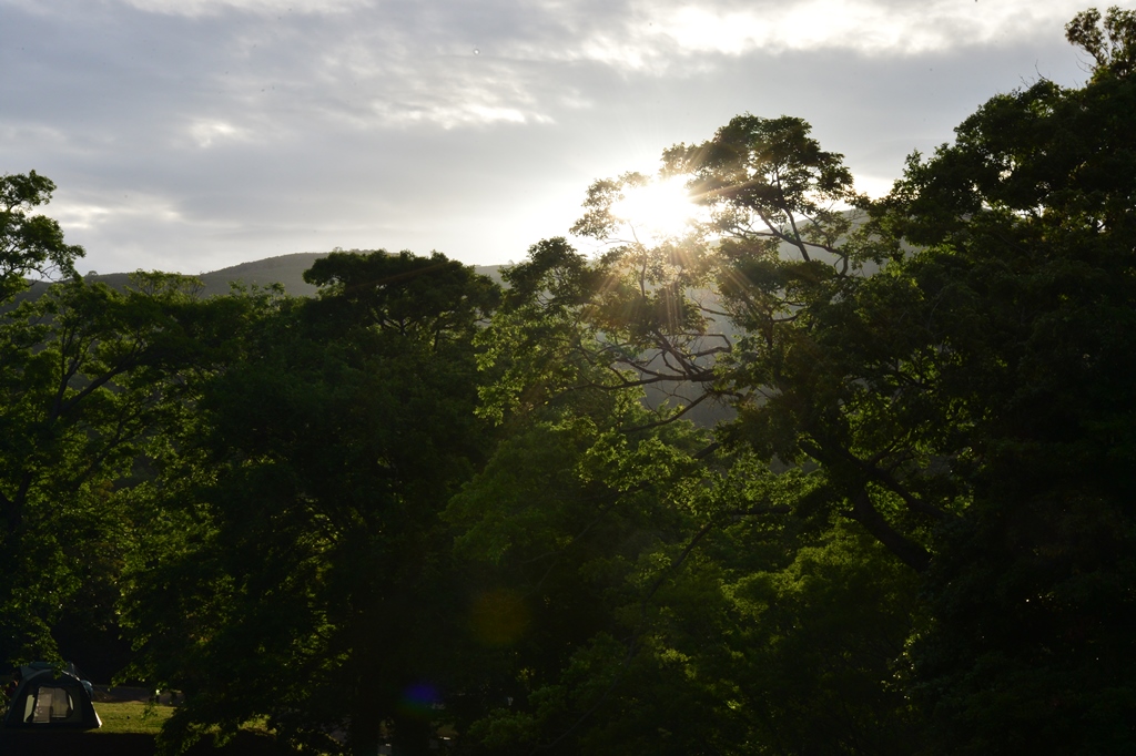 f:id:ikazuti-d:20190518182535j:plain f:id:ikazuti-d:20190518182535j:plain