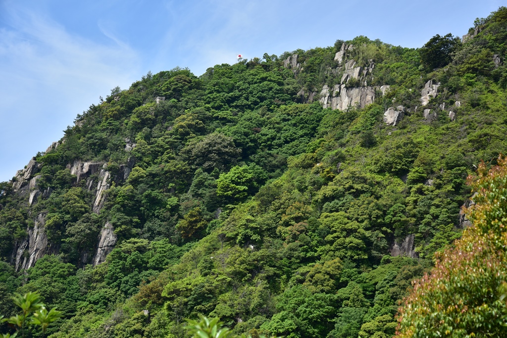 f:id:ikazuti-d:20190603102734j:plain f:id:ikazuti-d:20190603102734j:plain