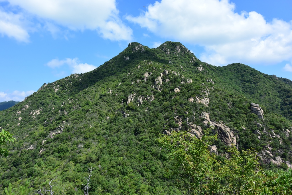 f:id:ikazuti-d:20190715100219j:plain f:id:ikazuti-d:20190715100219j:plain