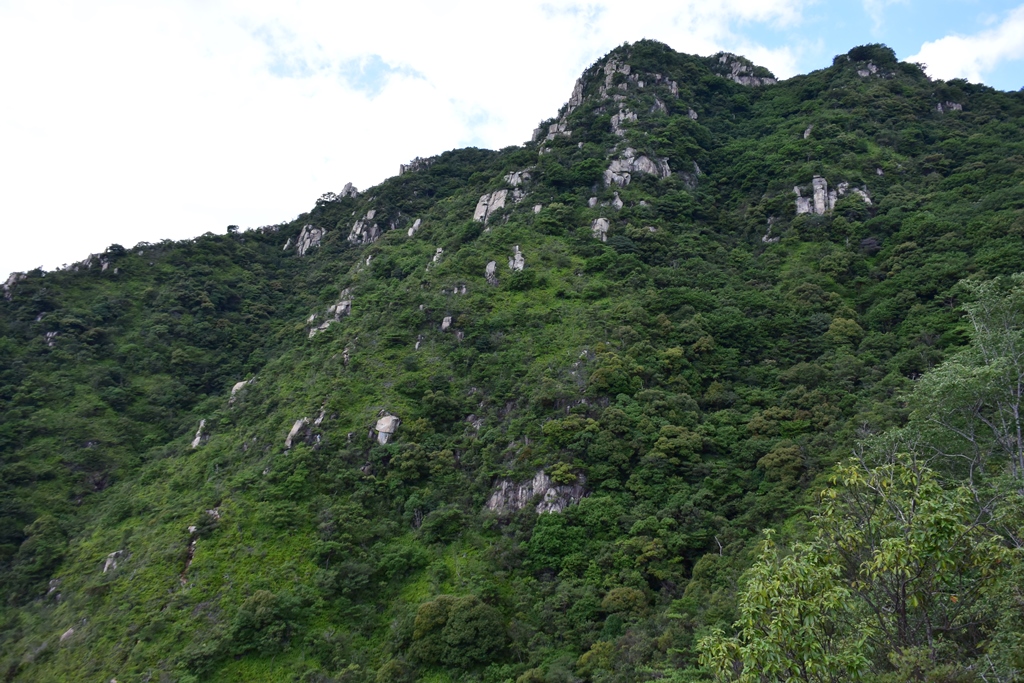 f:id:ikazuti-d:20190715110914j:plain f:id:ikazuti-d:20190715110914j:plain