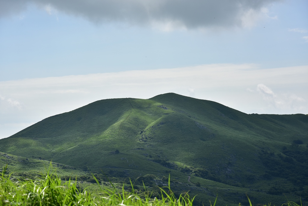 f:id:ikazuti-d:20190726095411j:plain