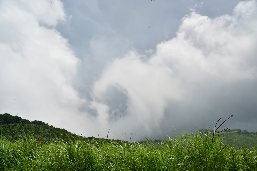 f:id:ikazuti-d:20190726113444j:plain