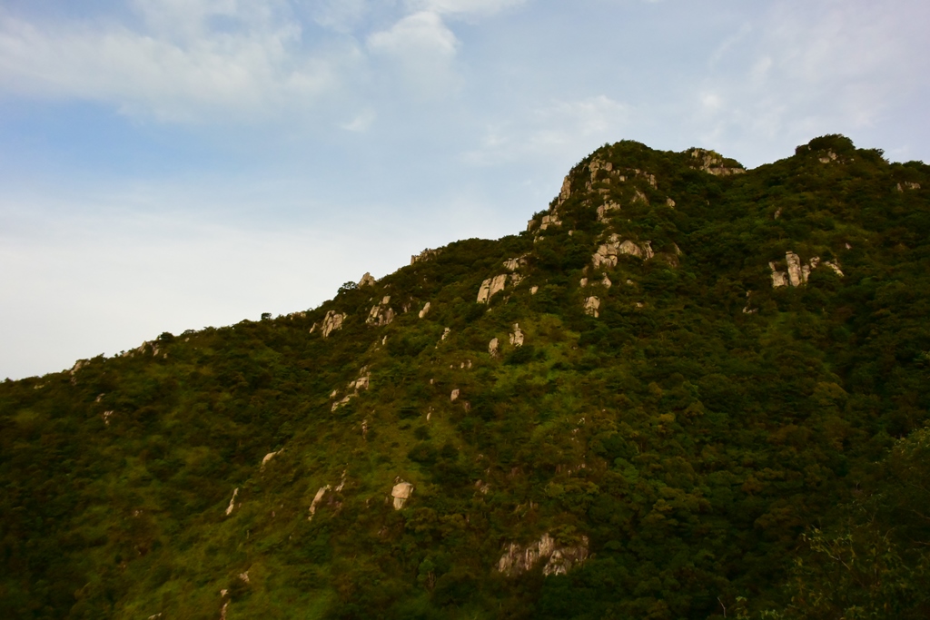 f:id:ikazuti-d:20190811061318j:plain f:id:ikazuti-d:20190811061318j:plain