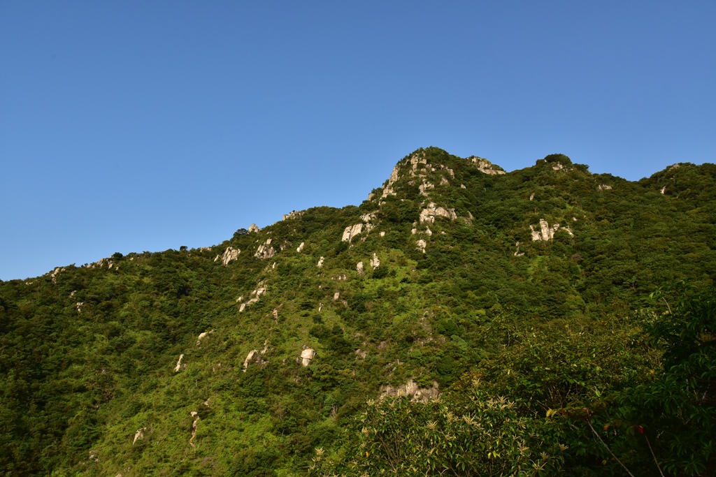 f:id:ikazuti-d:20190914073138j:plain