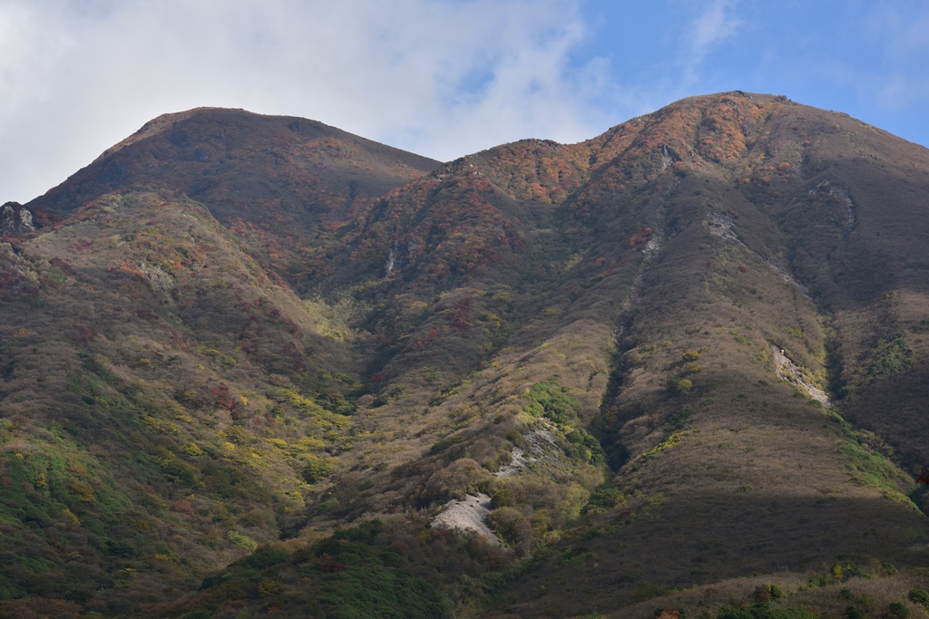 f:id:ikazuti-d:20191021150834j:plain
