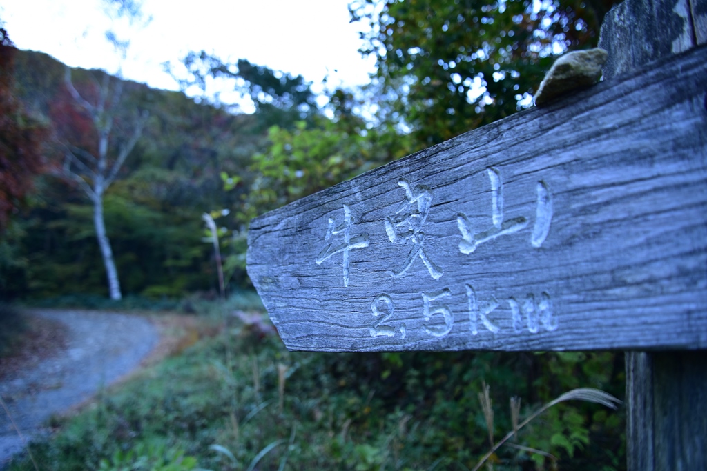 f:id:ikazuti-d:20191107070158j:plain