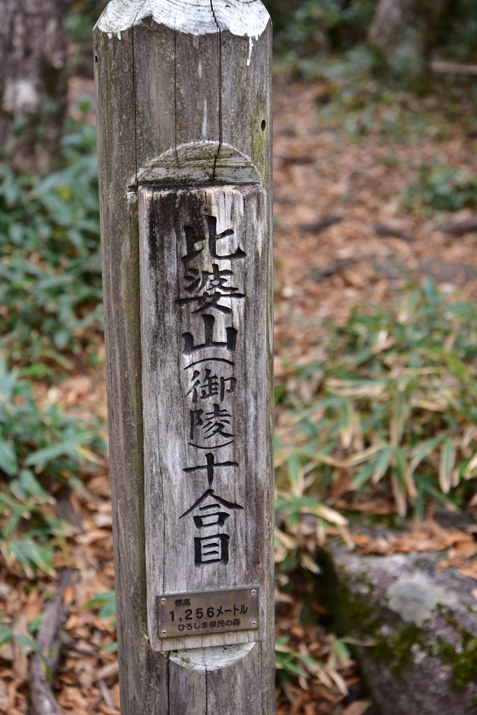 f:id:ikazuti-d:20191107103105j:plain