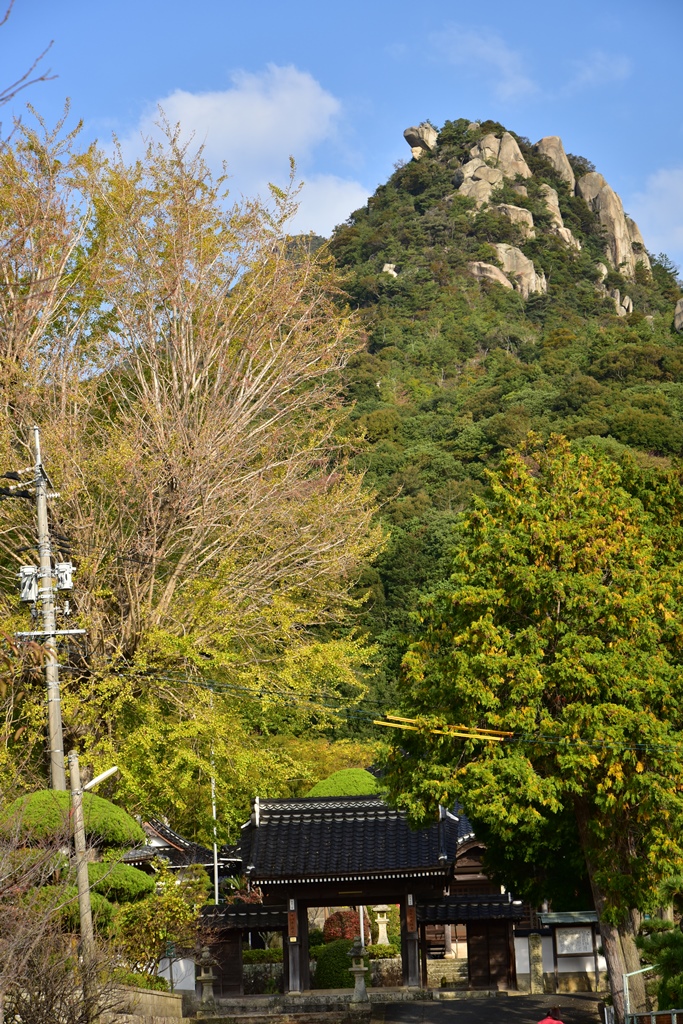 f:id:ikazuti-d:20191111084356j:plain