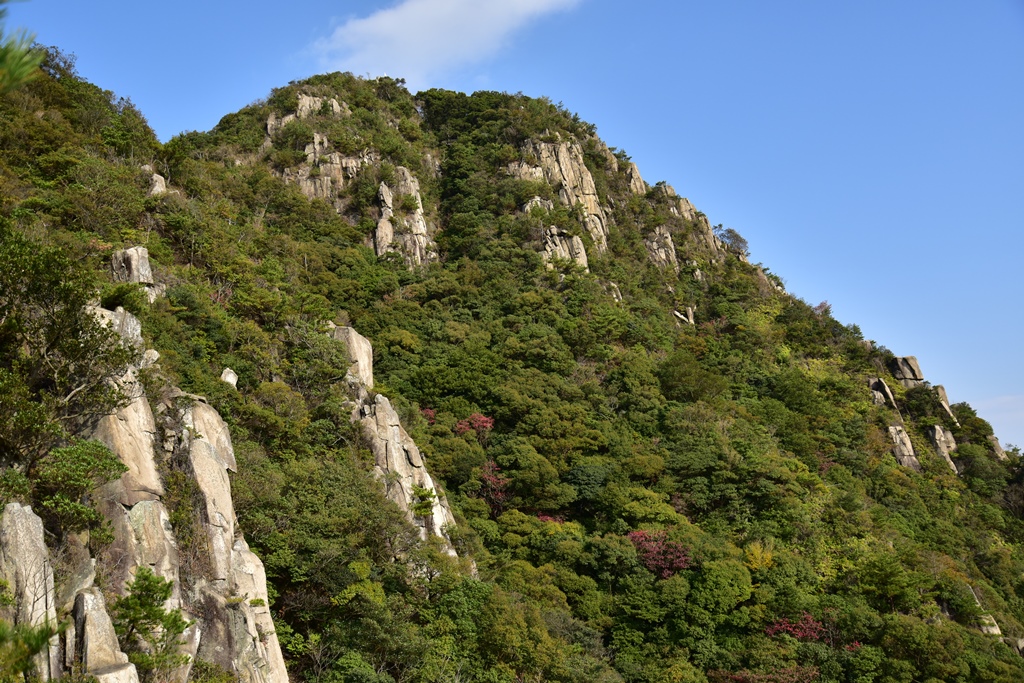 f:id:ikazuti-d:20191111094047j:plain