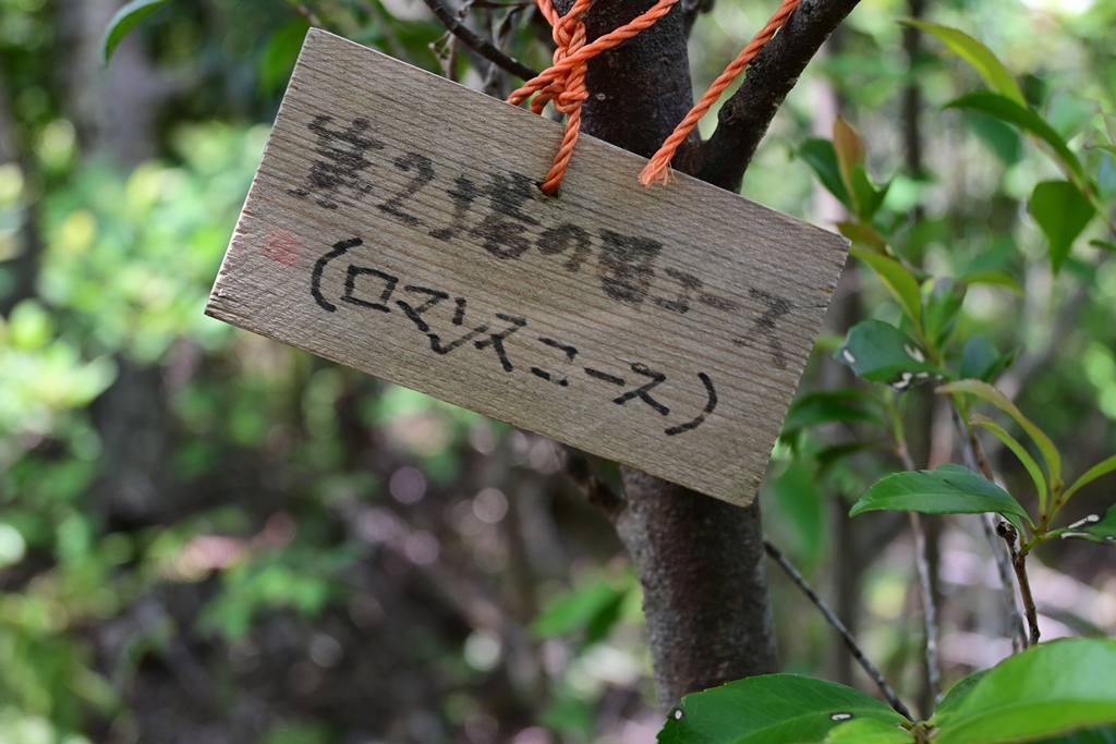 f:id:ikazuti-d:20200527113101j:plain