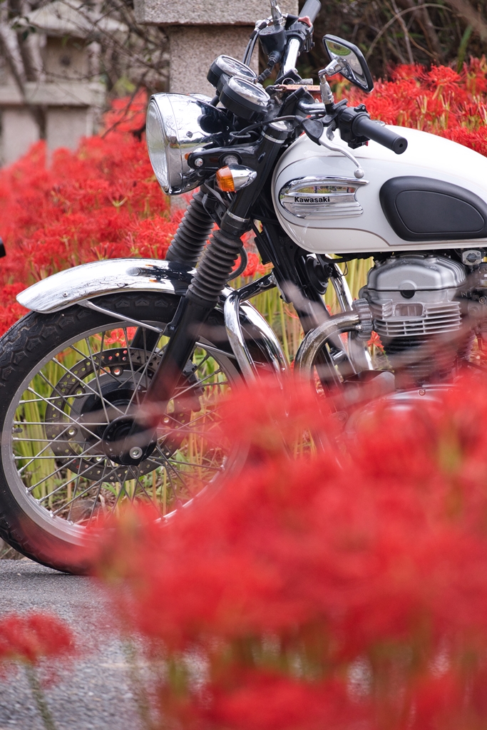 W650 復活！！ - 蒼天遊々な旅