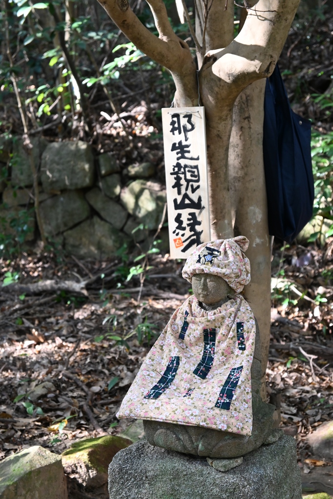 f:id:ikazuti-d:20201130114804j:plain