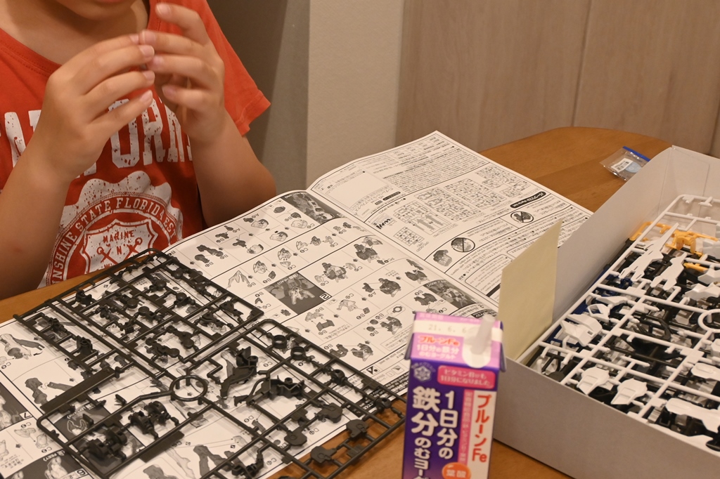 f:id:ikazuti-d:20210524200907j:plain