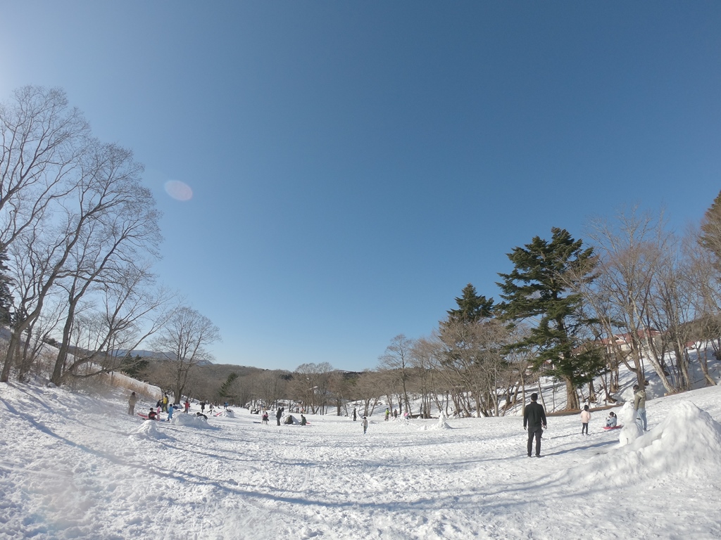 f:id:ikazuti-d:20220103141758j:plain