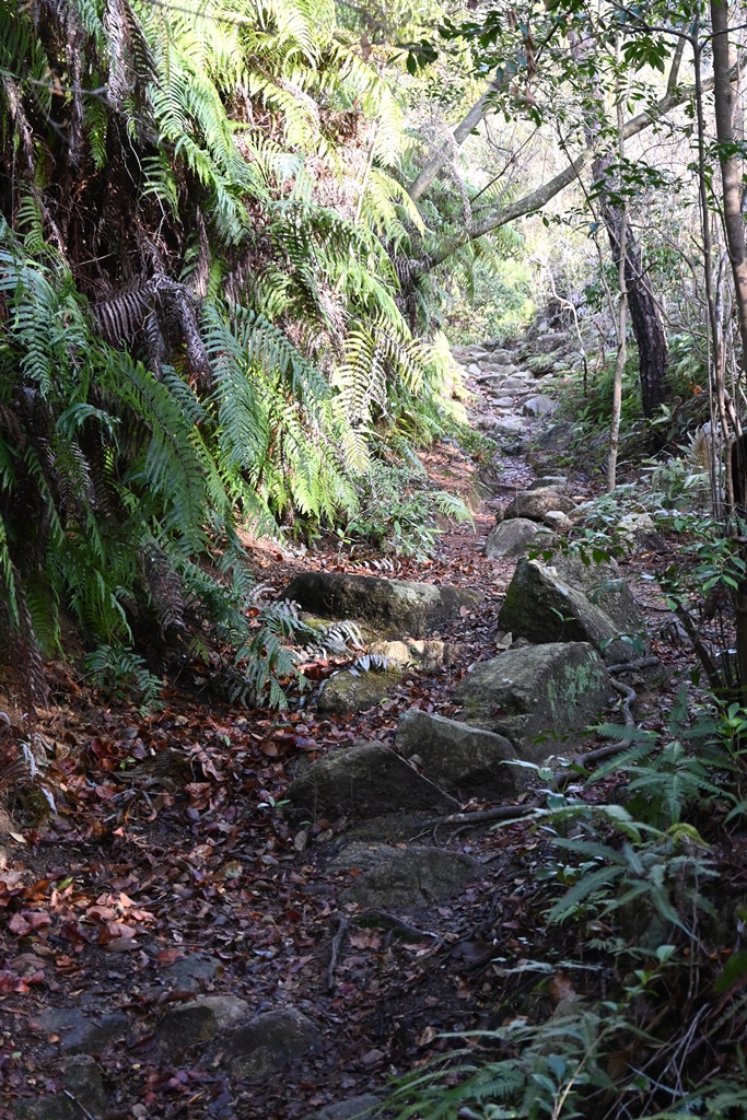 f:id:ikazuti-d:20220124090829j:plain