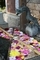 20241207084631