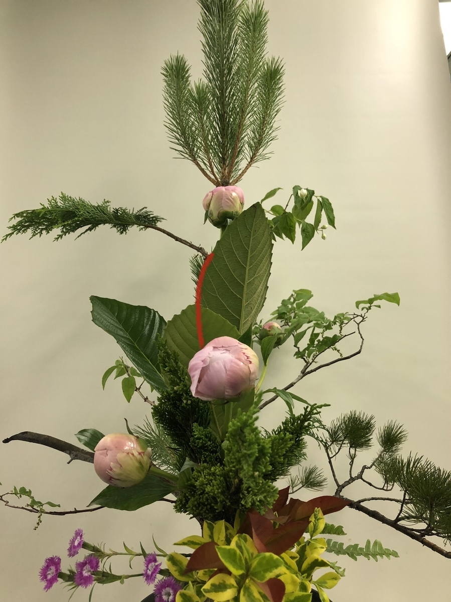 f:id:ikebana6:20210520212743j:plain