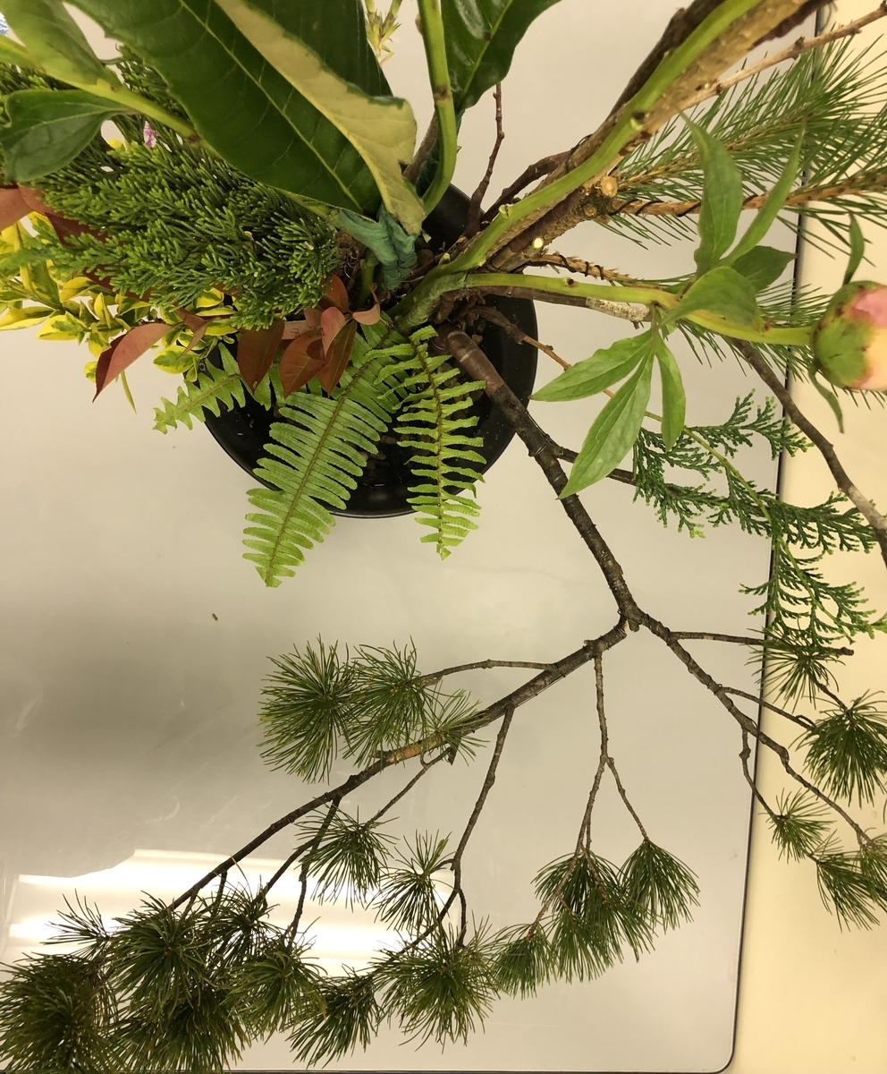 f:id:ikebana6:20210520212814j:plain