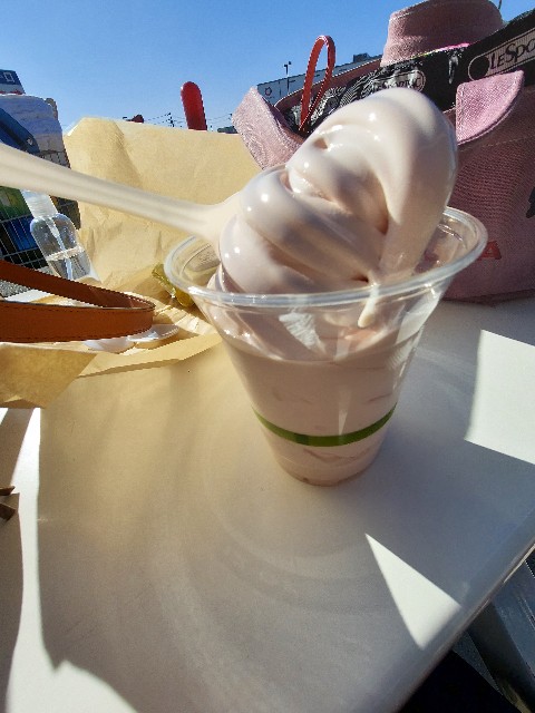 f:id:ikebodaisuki100:20220113233051j:image